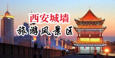 在线操骚穴中国陕西-西安城墙旅游风景区